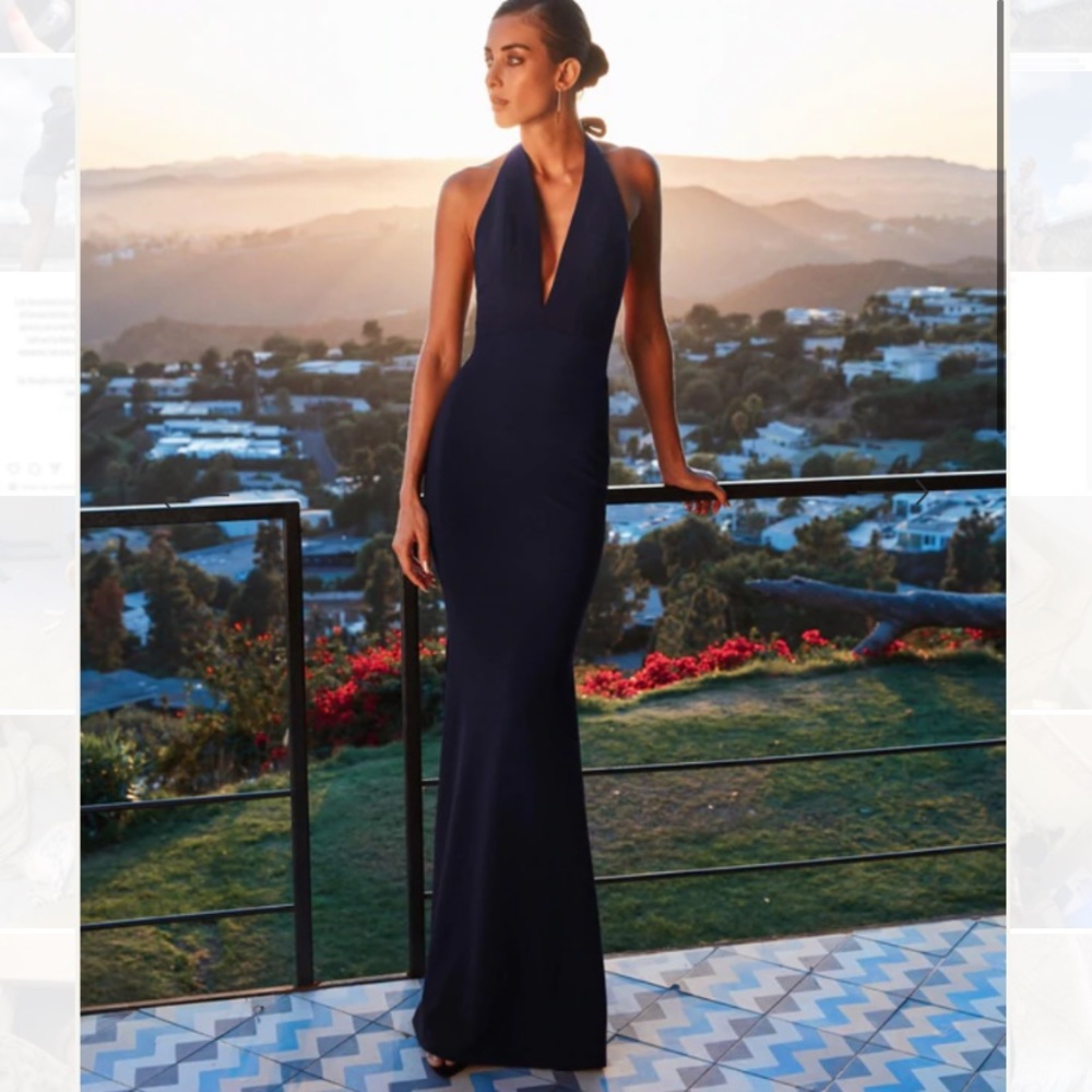 NWT Dress the Population Gown